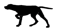 Gundog