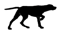 Gundog